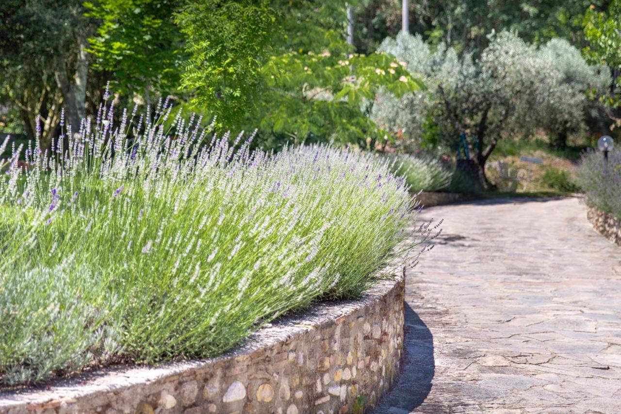 La Valle A Polvereto Alloggio per agriturismo *