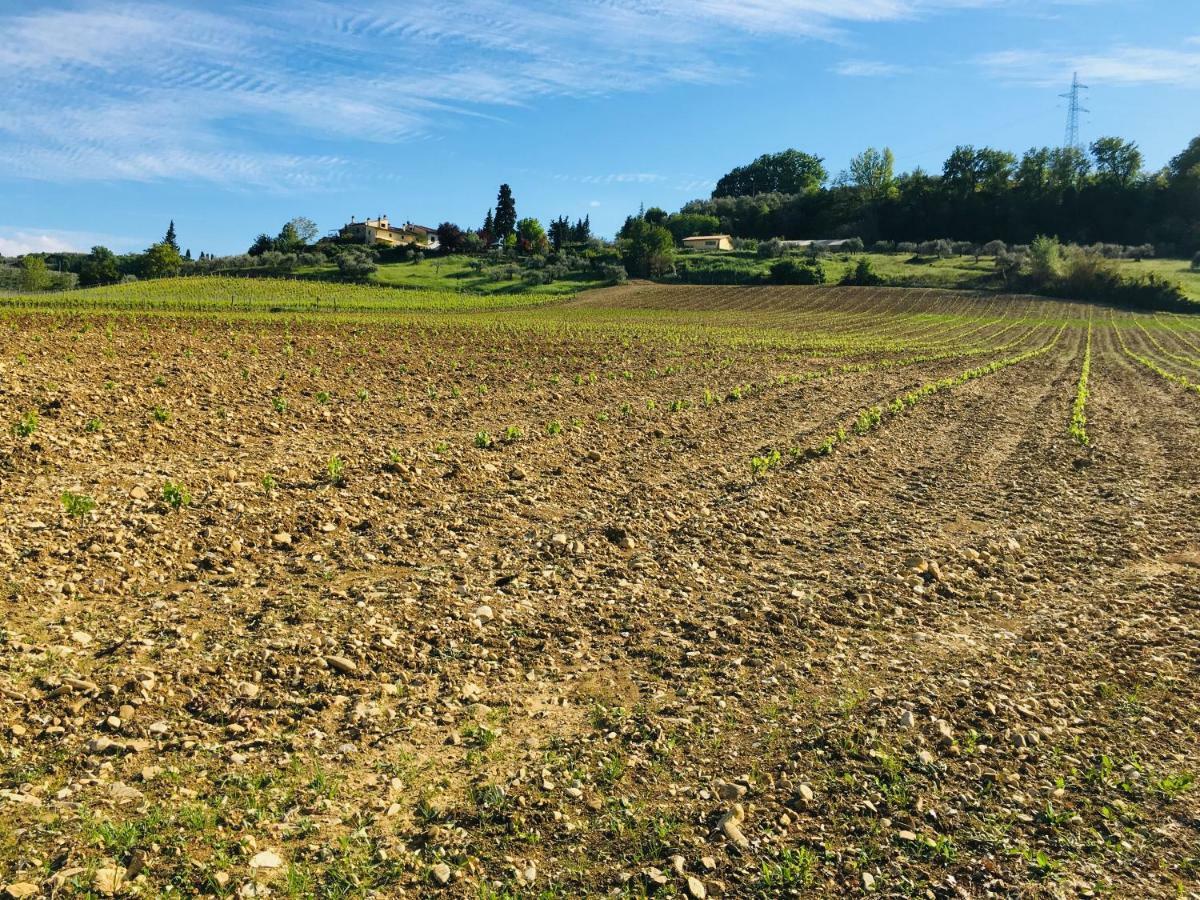 La Valle A Polvereto