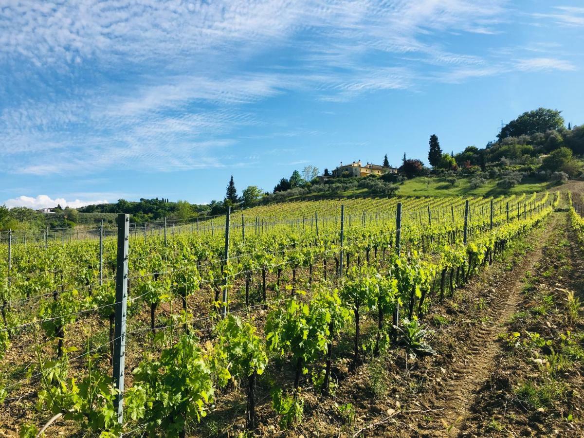 La Valle A Polvereto