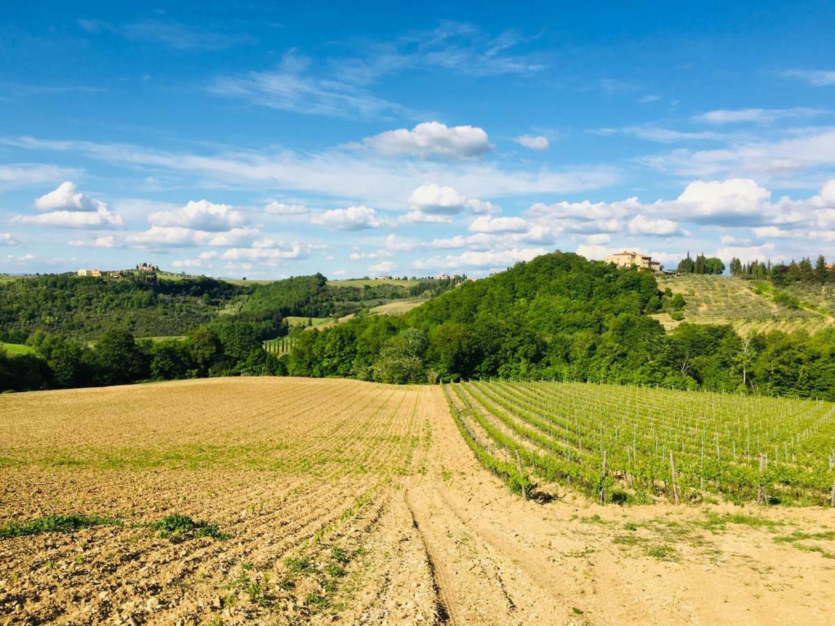 Alloggio per agriturismo La Valle A Polvereto *